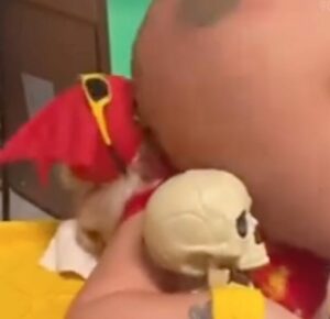 WWE BIG BOOTY PARODY BBW STYLE